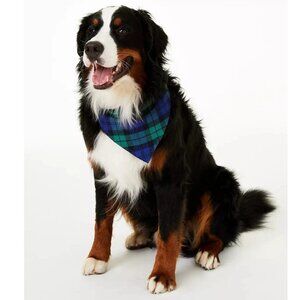 Family Pajamas Pet Dog Holiday Bandana Scarf, Blue Green Plaid, Large to XL